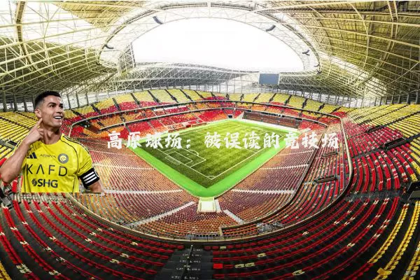 高原球场:被误读的竞技场